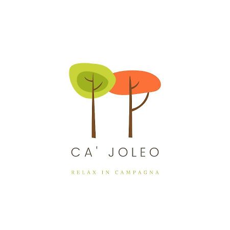 Ca'Joleo - Relax In Campagna Del Lago Di Garda San Giorgio in Salici Ngoại thất bức ảnh